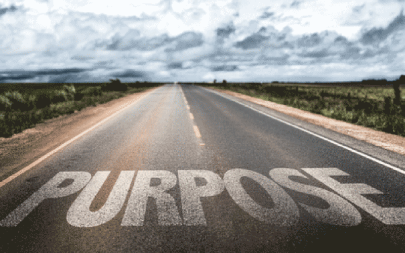A Sense of Purpose – Know Your ‘Why’