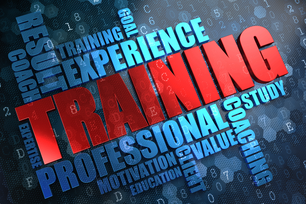 A trainer, the world's best job?